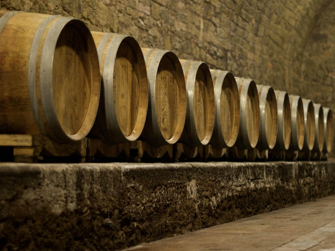 Conti Faina Winery-San Venanzo必去景点