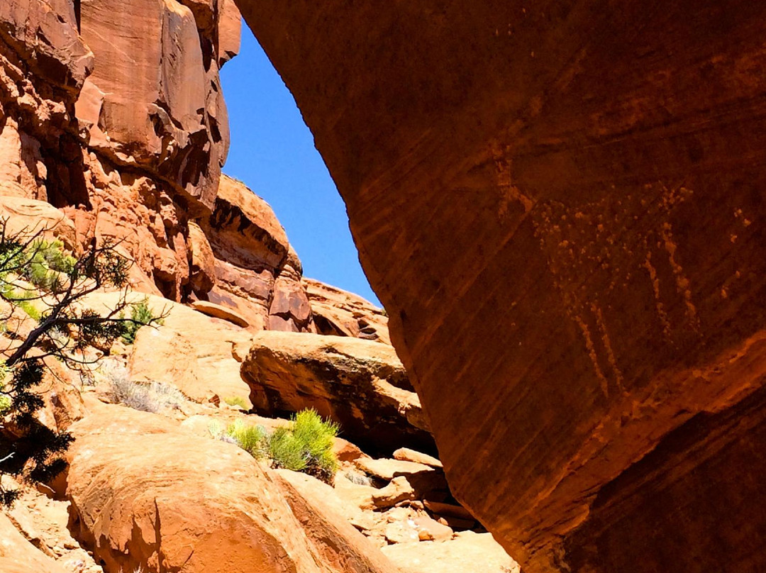 Dominguez Canyon景点图片