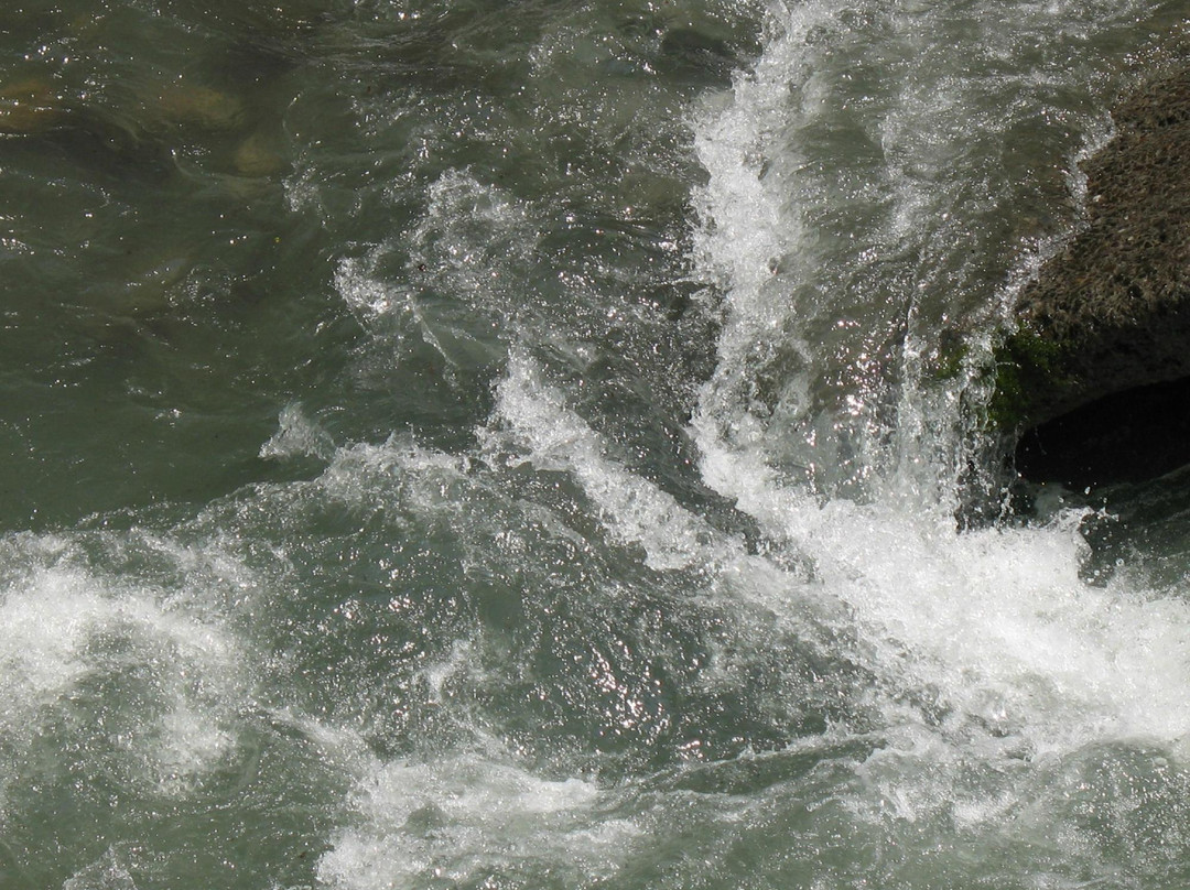 Hikawa Kokusai Masu Fishing Site-奥多摩町必去景点