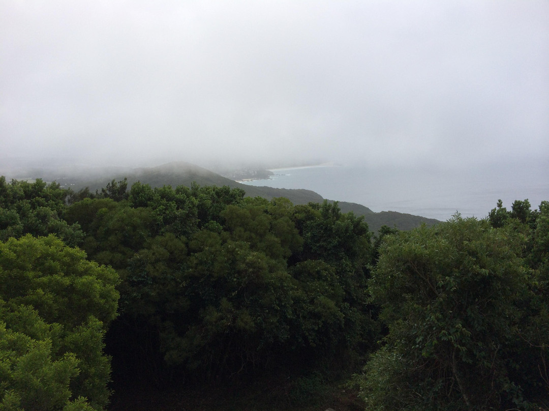 Cape Hawke Lookout景点图片
