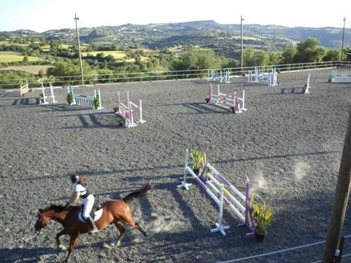 Amargeti旅游攻略图片