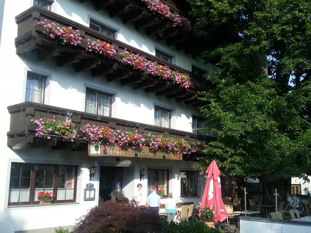 Gruener Baum主图