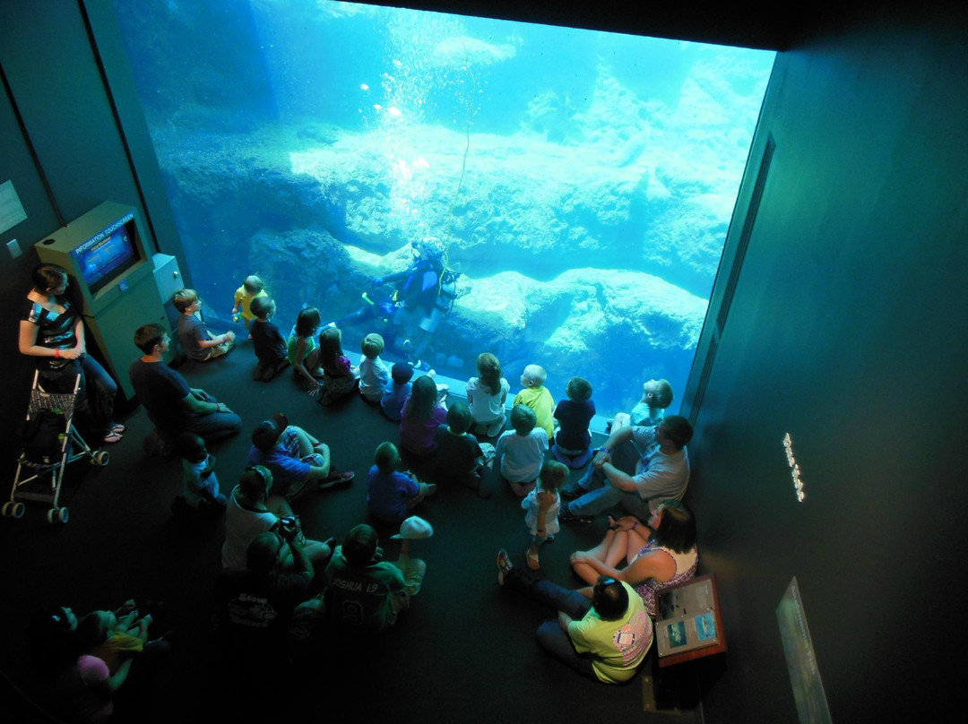 Flint RiverQuarium-奥尔巴尼必去景点