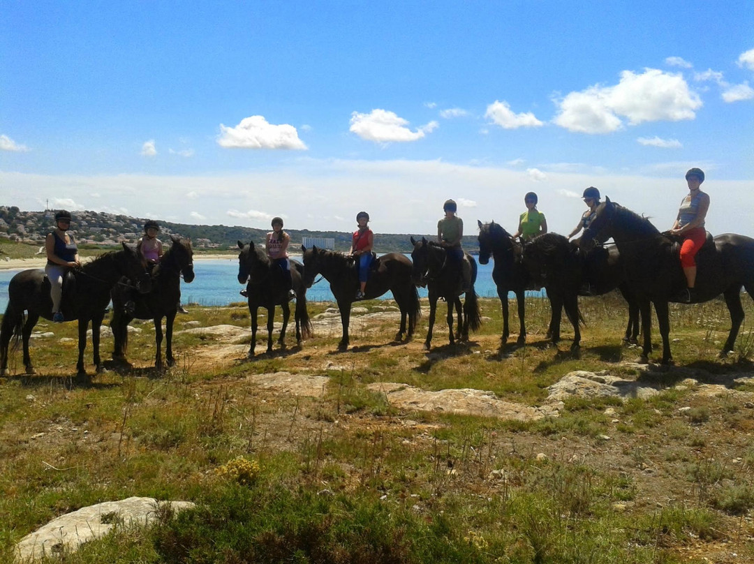 Rutas Equestres Menorca-休达德亚必去景点
