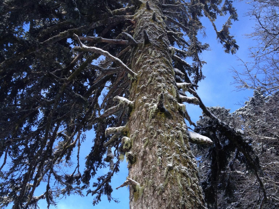 Mont Dore Aventures-蒙多尔必去景点