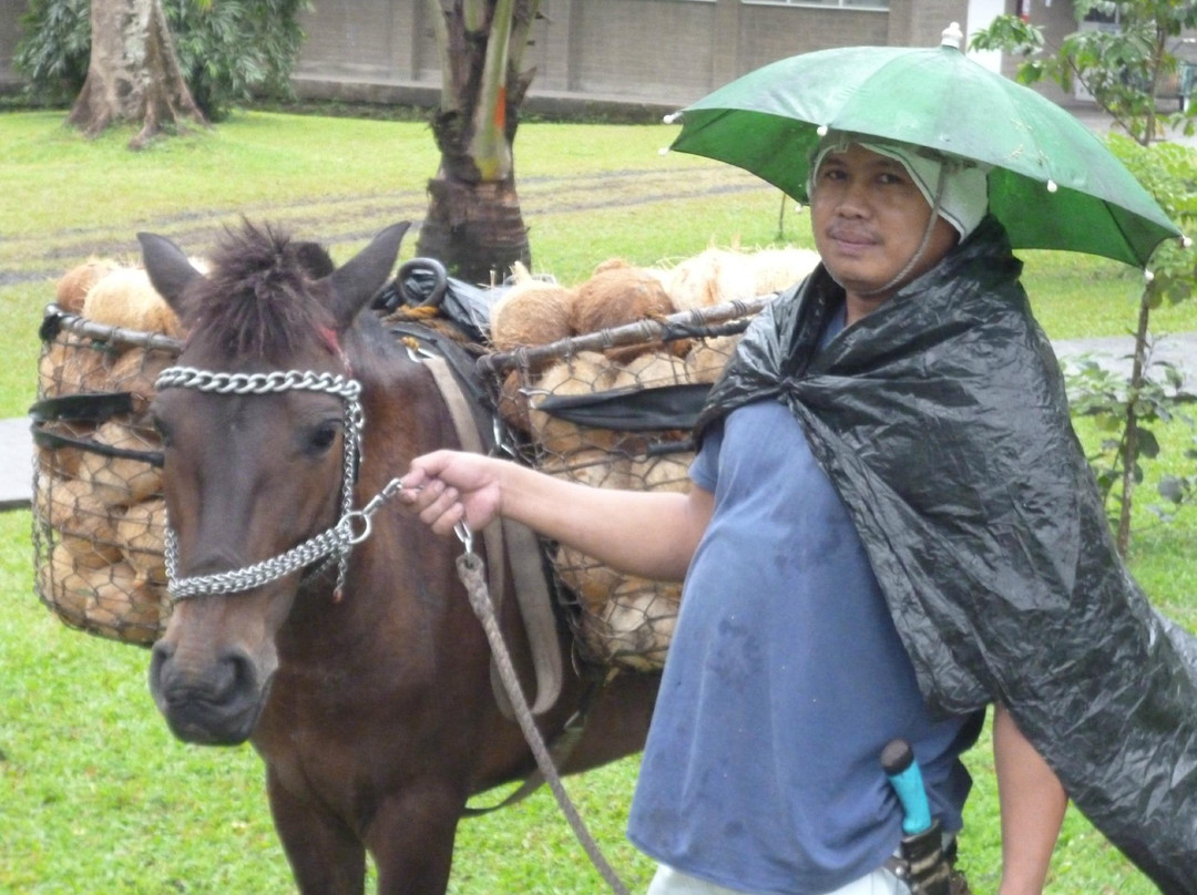 Rizal Re-Creation Center-圣巴勃罗必去景点