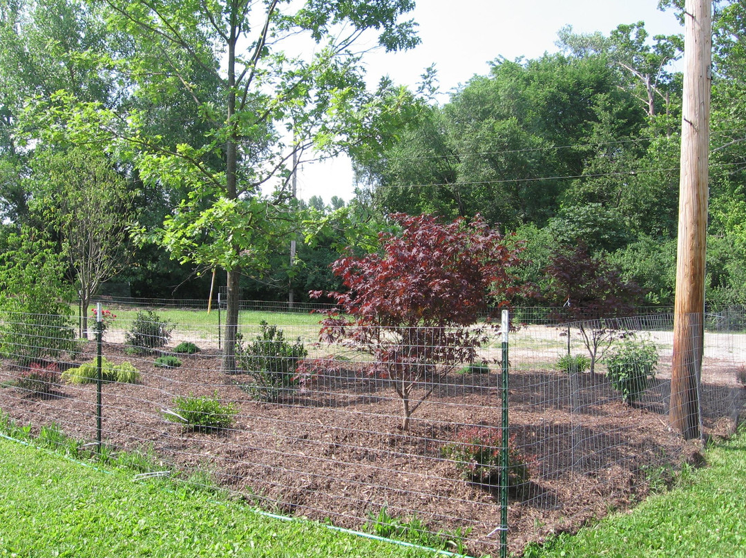 Missouri Civil War Museum-圣路易斯必去景点