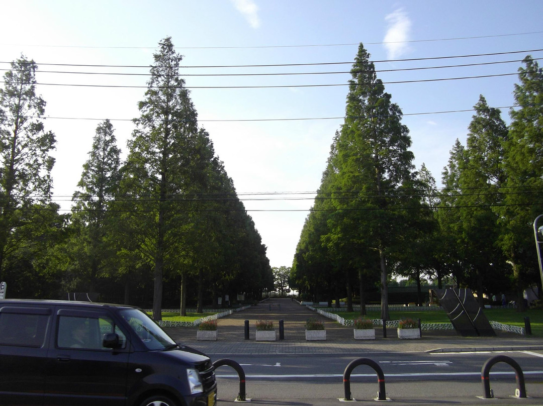 Soka Park-草加市必去景点