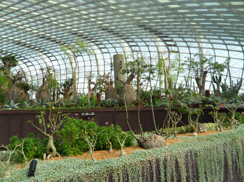 花穹-新加坡必去景点