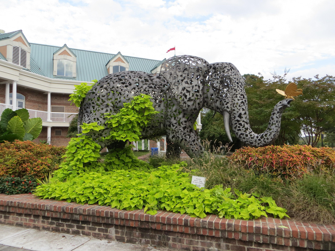 Virginia Zoo-诺福克必去景点