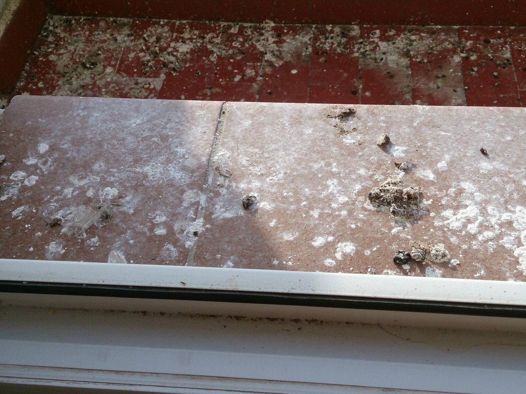 胡安卡洛斯一世酒店主图