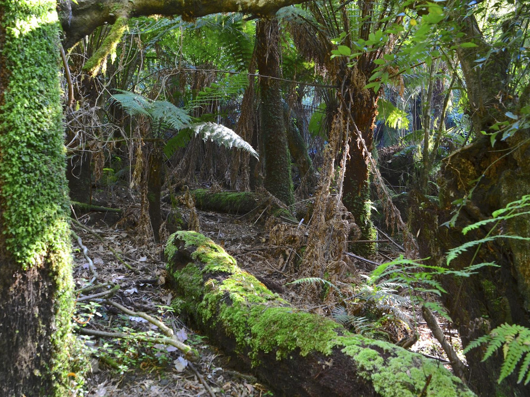 Grants on Sherbrooke-Kallista必去景点