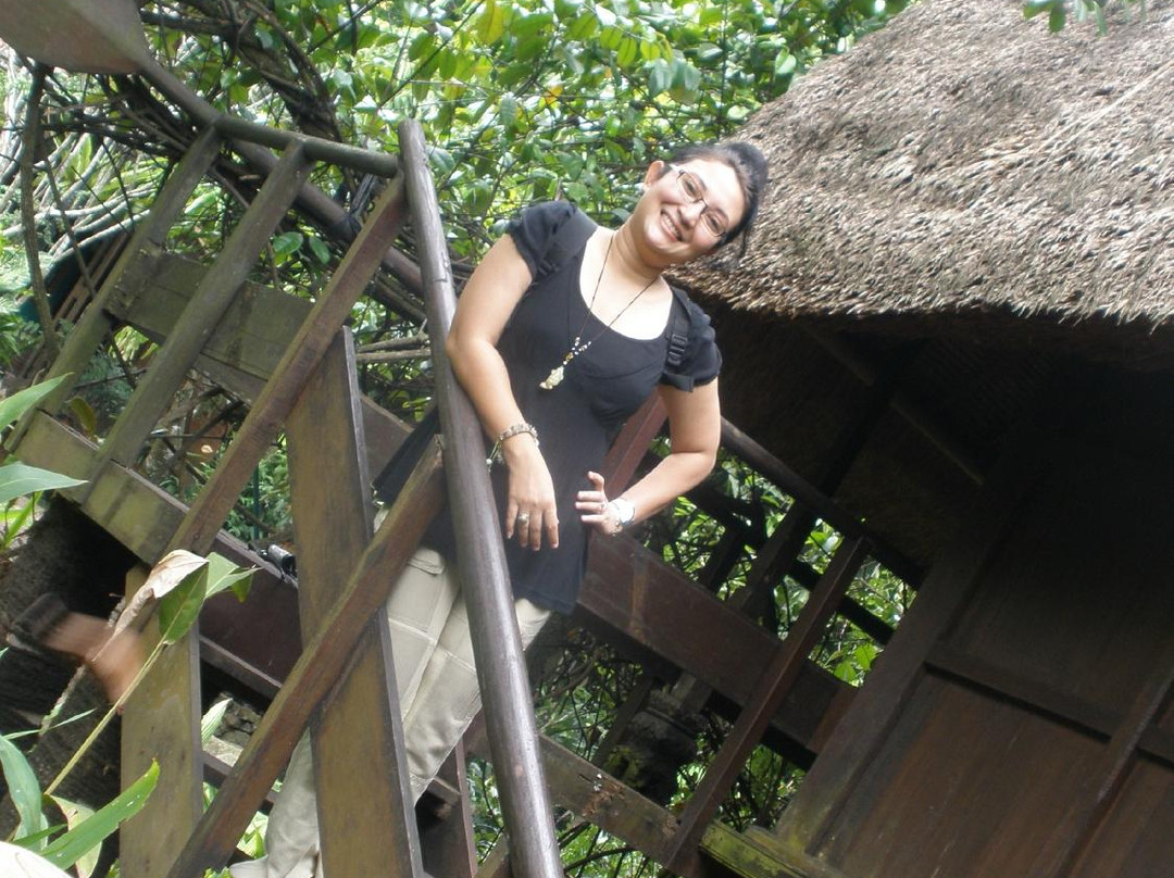 Widayanto Ceramic House-雅加达必去景点