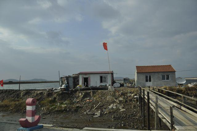 丹东鸭绿江口湿地-东港市必去景点