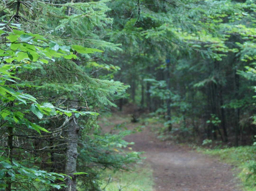Two Rivers Trail-阿冈昆公园必去景点