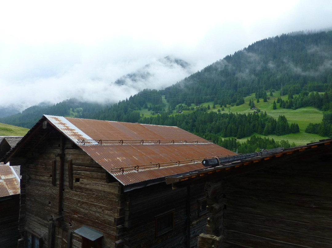 Hotel-Restaurant Drei Tannen主图