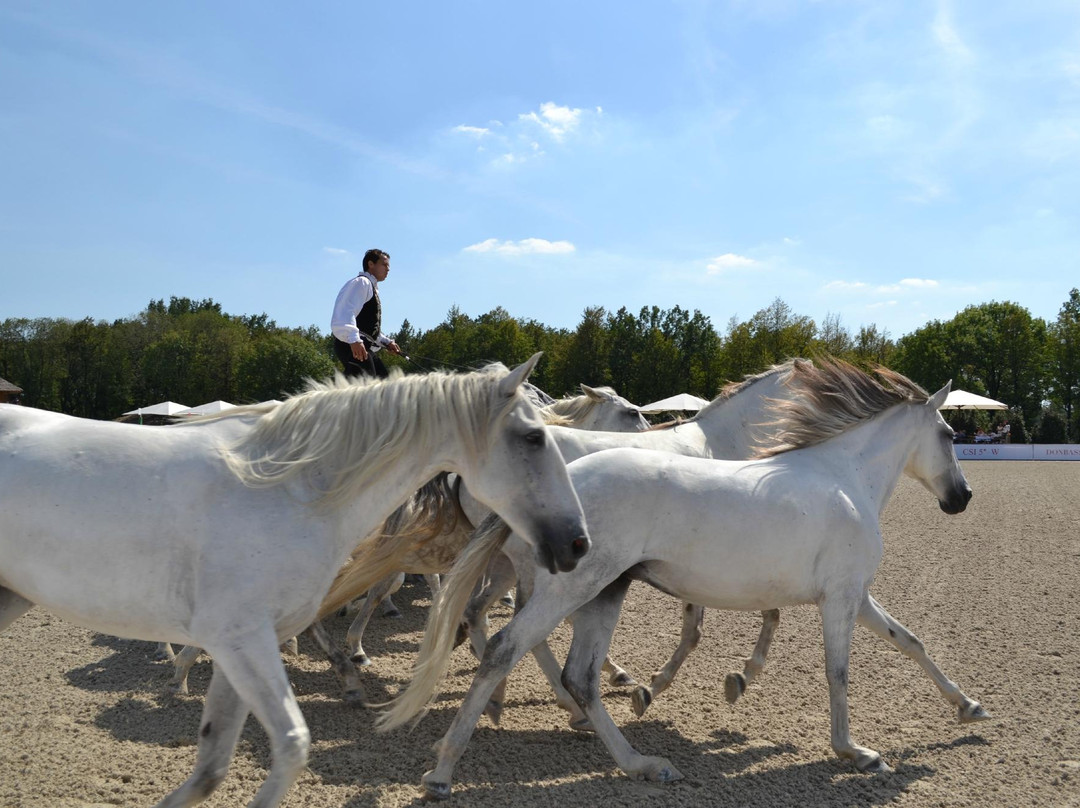 Donbass Equicentre-顿涅茨克必去景点