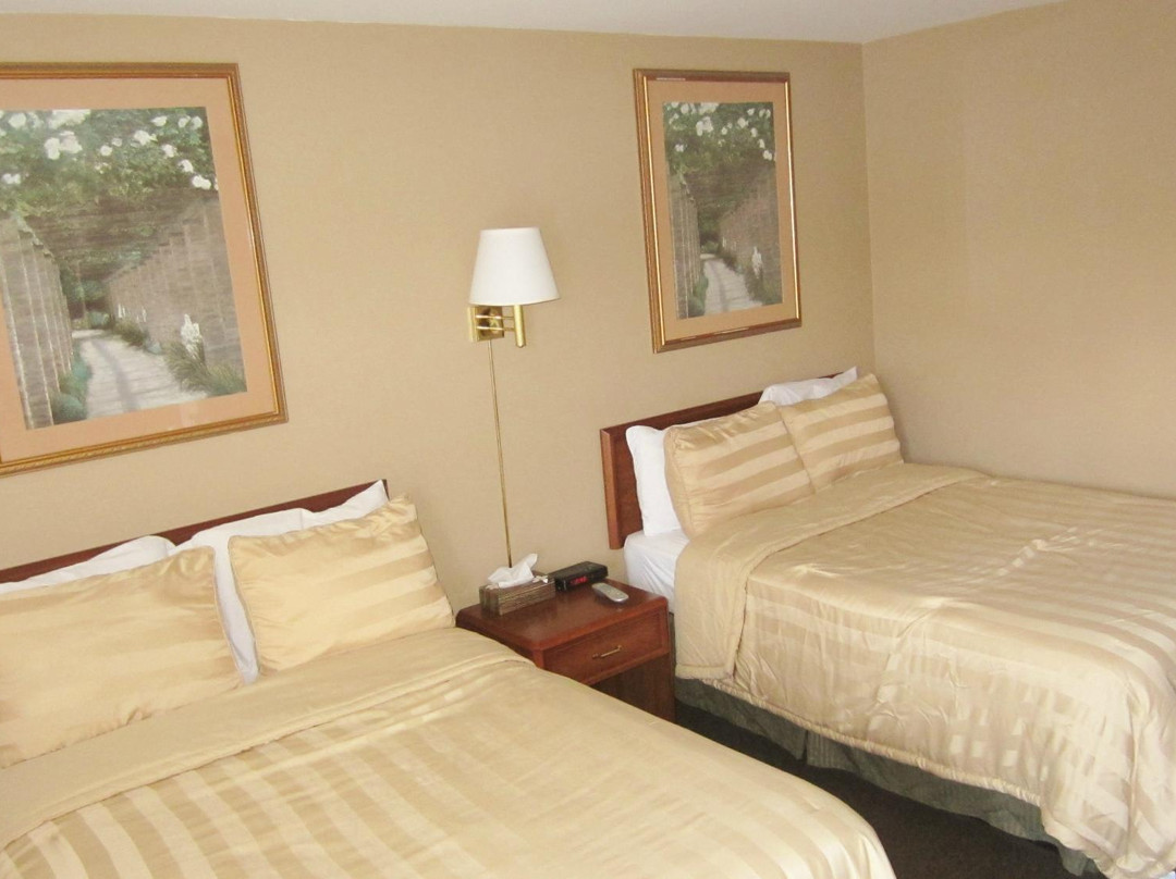 Village Inn Motel主图