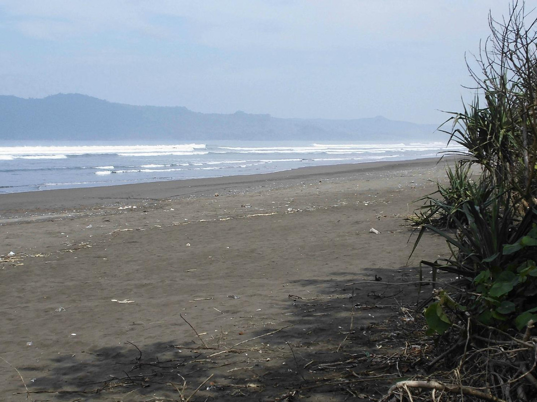 Mangrove Bedul Ecotourism-Sumberasri必去景点