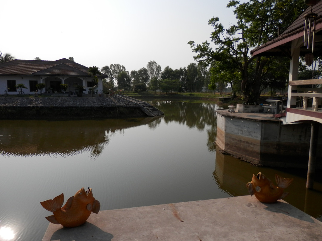 Time Out Fishing Park景点图片