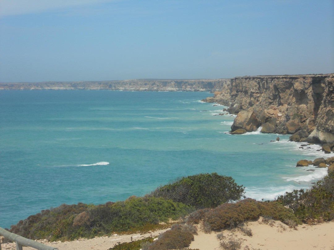 Ceduna旅游攻略图片