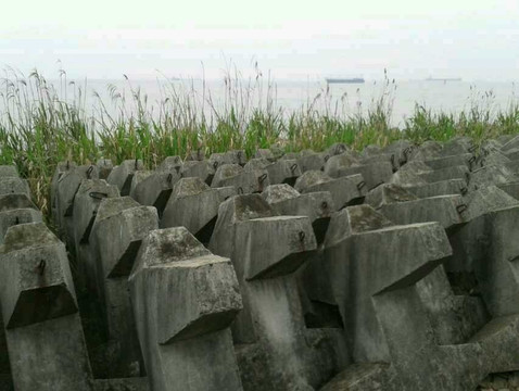 浦东高桥滨江森林公园-上海市必去景点