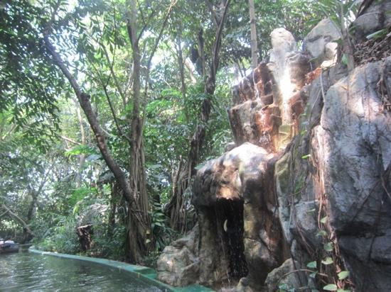 野生动物世界-曼谷必去景点