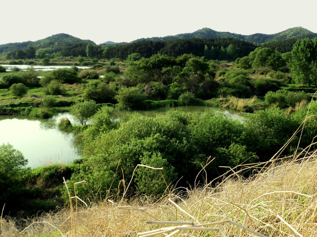Upo Wetland-昌宁郡必去景点