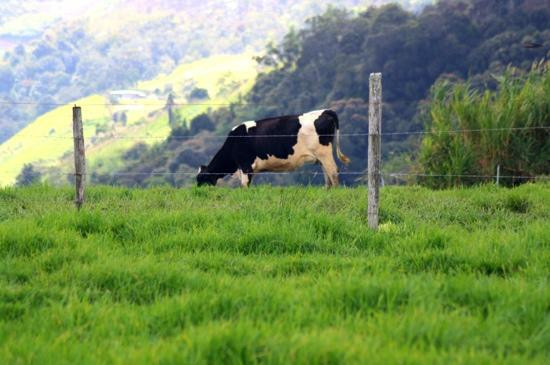 牛场-昆达山必去景点