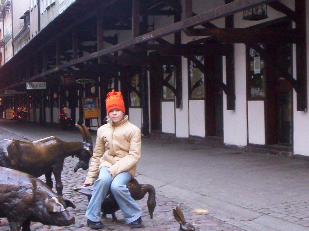 Jatki-弗罗茨瓦夫必去景点