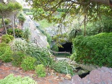 Cave Garden/thugi景点图片