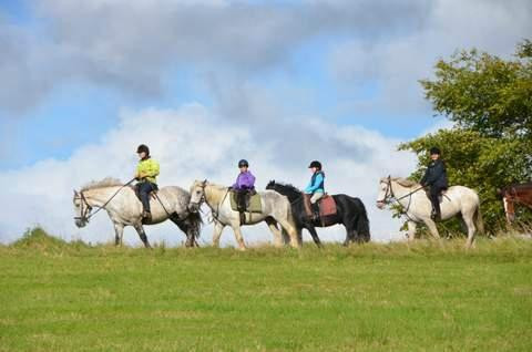 Killarney Riding Stables-基拉尼必去景点