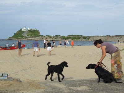 Horseshoe Beach-纽卡斯尔必去景点