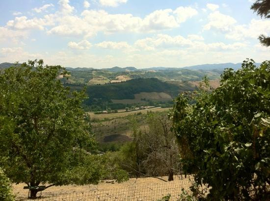 Parco Regionale dell'Abbazia di Monteveglio景点图片
