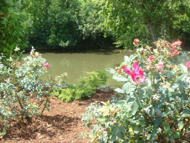 Smith River Sports Complex-Axton必去景点