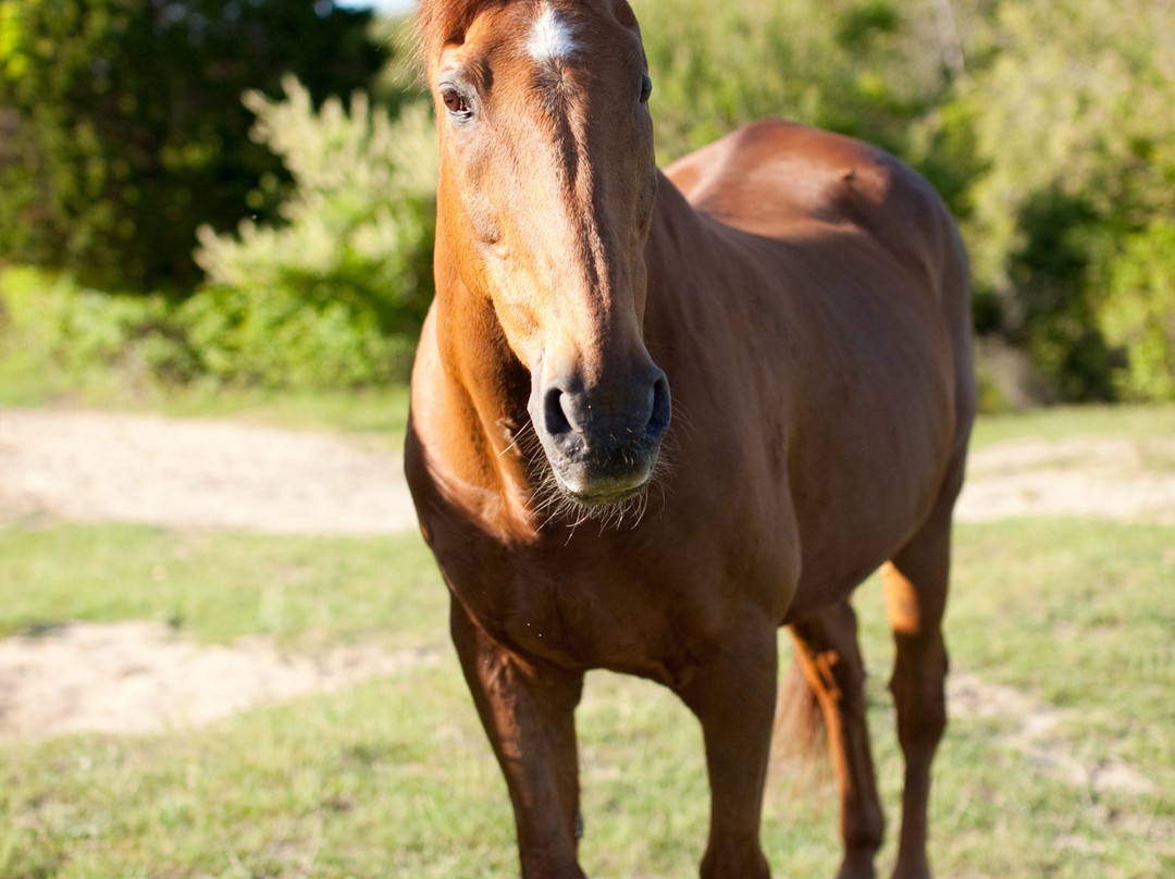 Captain R. Flanders' House主图
