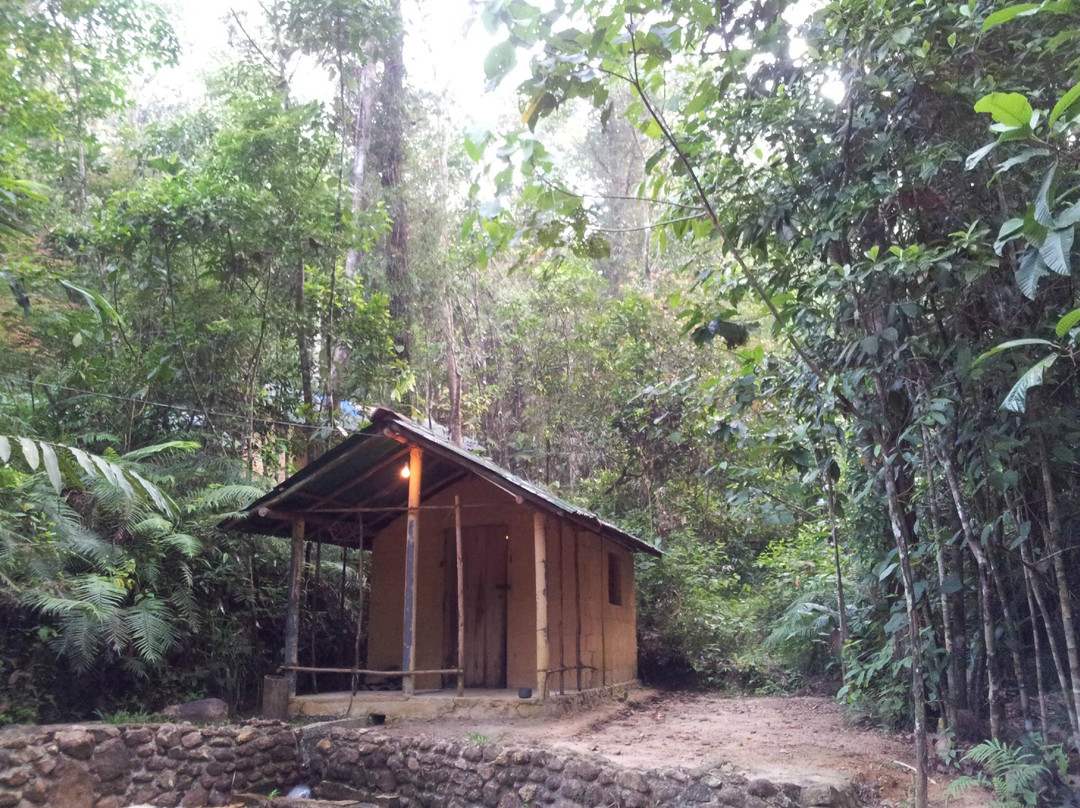 Rainforest Retreat