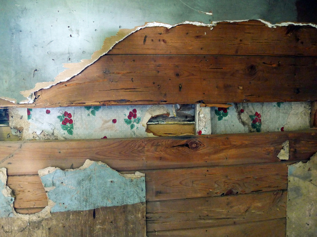 Magnolia Plantation & Gardens-查尔斯顿必去景点