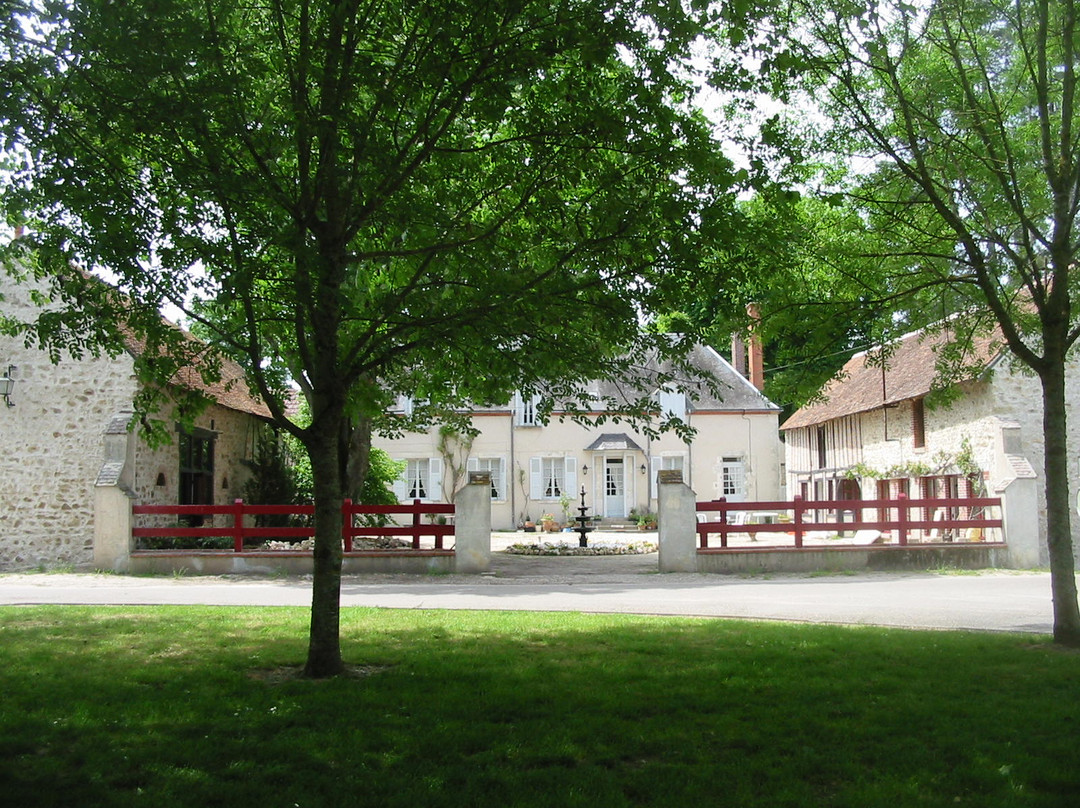 Chatres-sur-Cher酒店住宿-Château de la Frégeolière