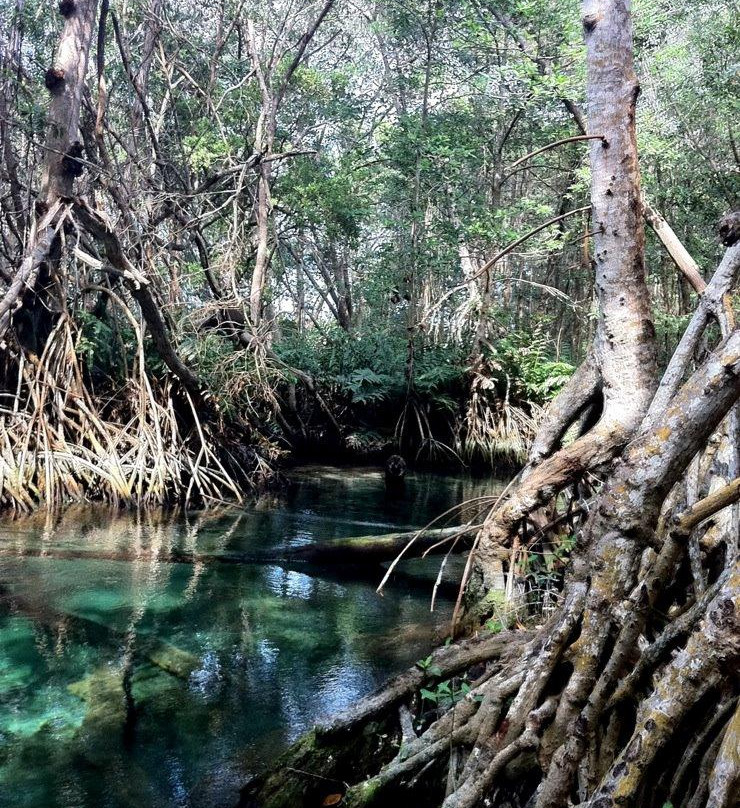 Reserva de la Biosfera Ría Celestún-塞莱斯顿必去景点