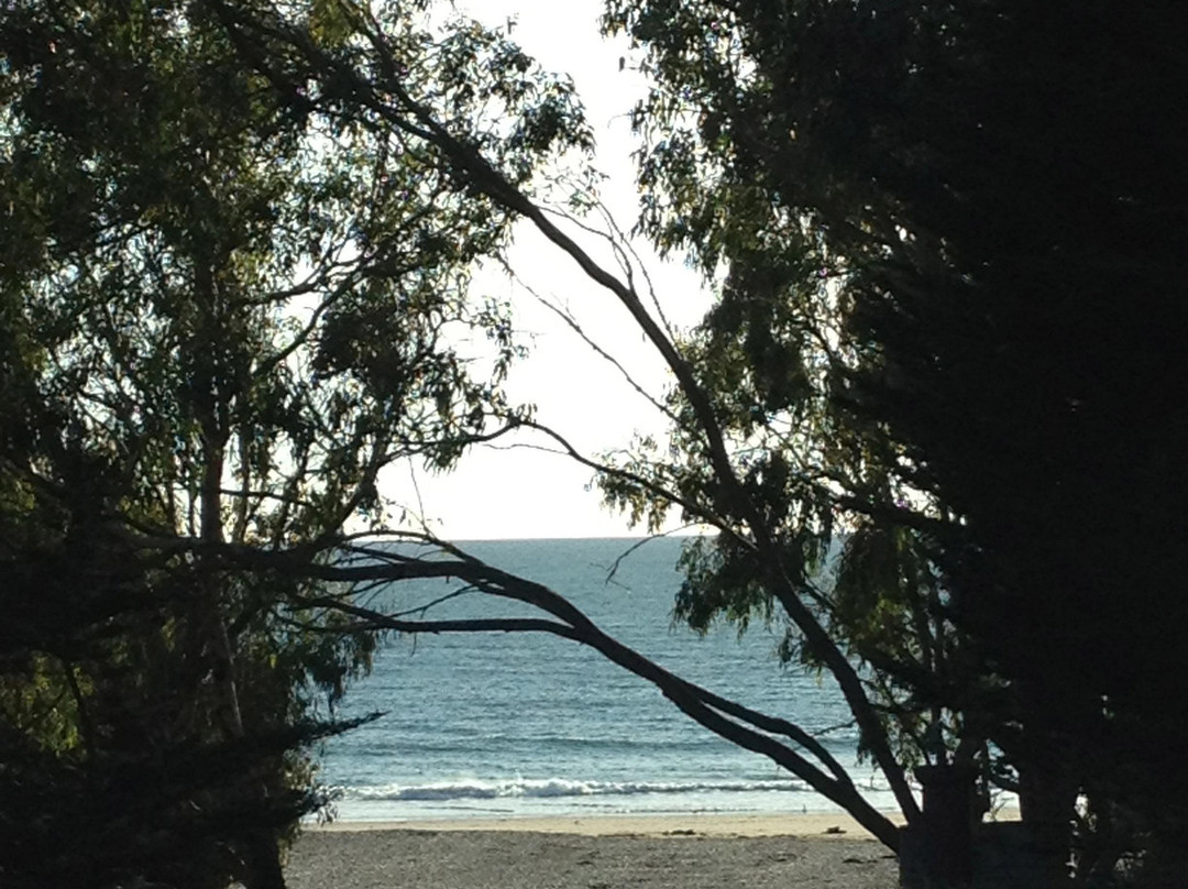 天然桥州立海滩-圣克鲁斯必去景点