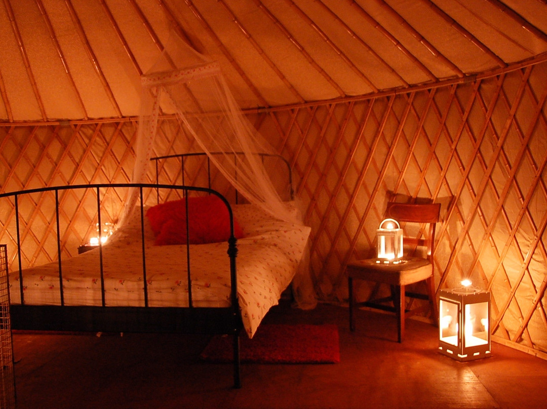Boutique Camping