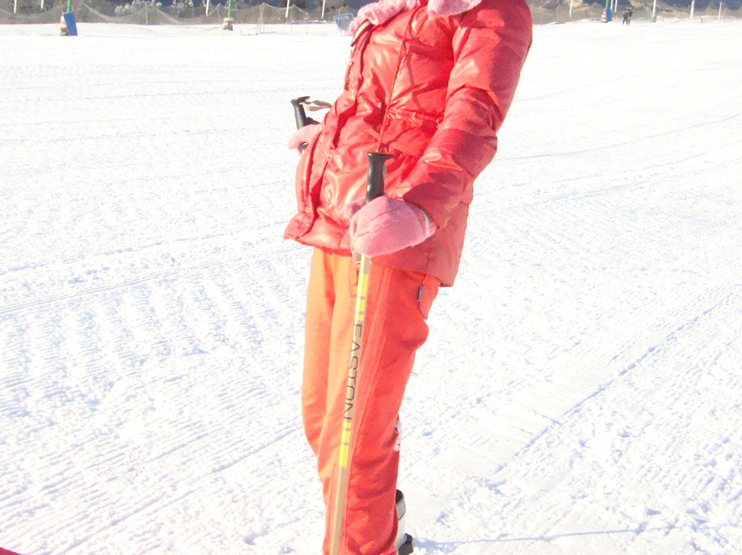 清凉山滑雪场-井陉县必去景点