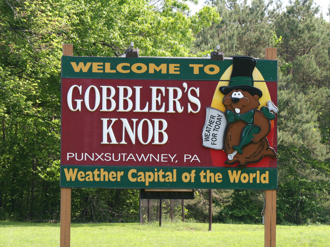 Gobbler's Knob景点图片