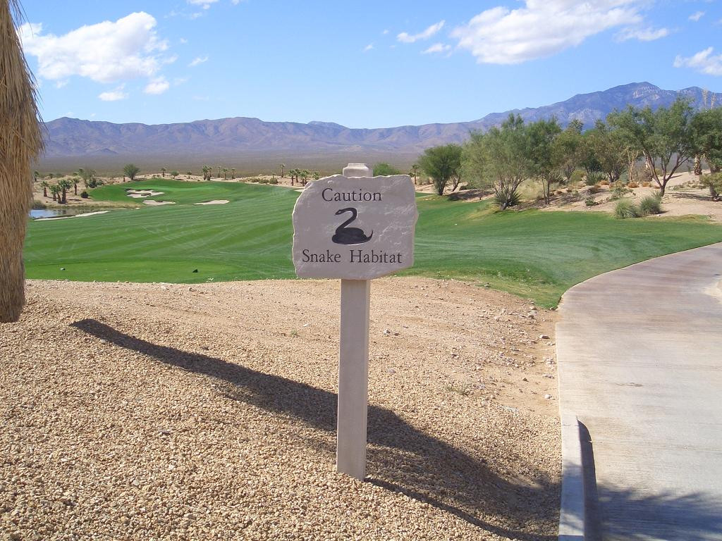 Primm Valley Golf Club - Desert Course-普里姆必去景点