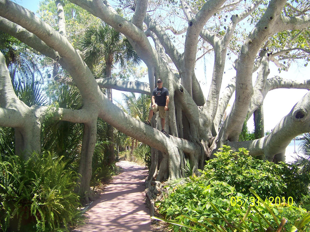 Useppa Island-Bokeelia必去景点