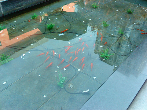 北京桔子酒店望京店主图