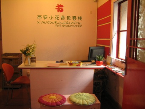 小花国际青年旅舍主图