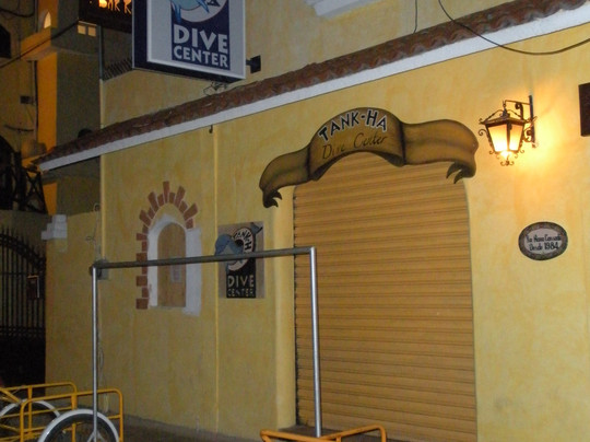 Tank-ha Dive Center-普拉亚德尔卡曼必去景点