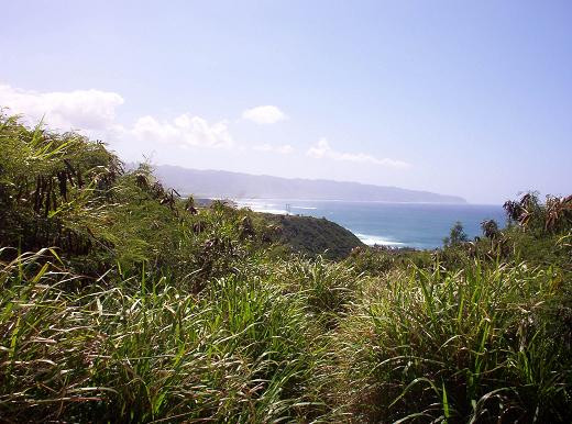 Pu’u O Mahuka Heiau State Monument-Pupukea必去景点